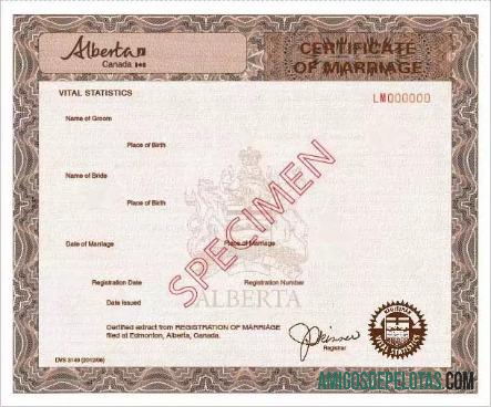 Certidão de Casamento do Registrador de Estatísticas Vitais do Canadá baixar para verificação