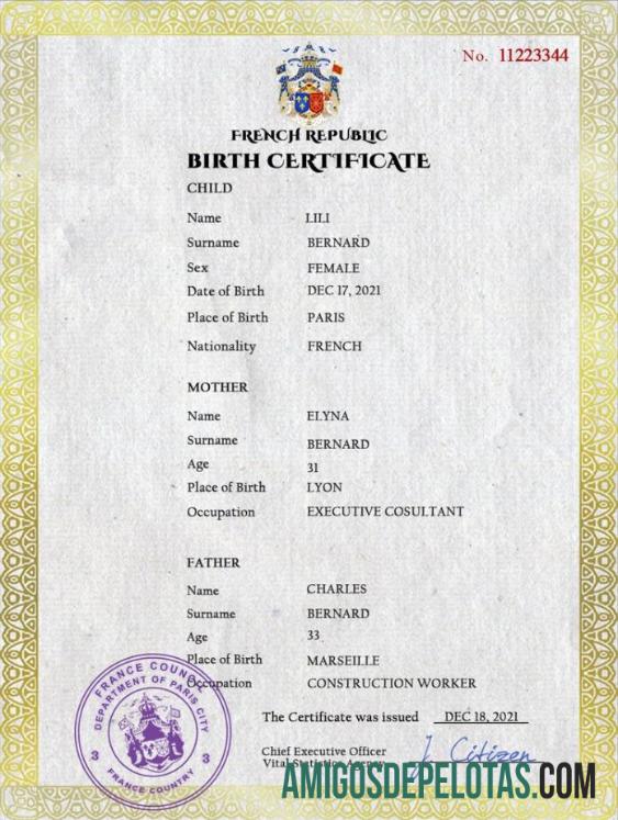 realista Modelo PSD de certidão de nascimento de registro vital da França