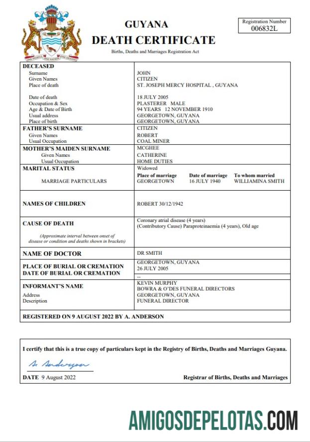 Em branco modelo Word e PDF de certidão de óbito da Guiana