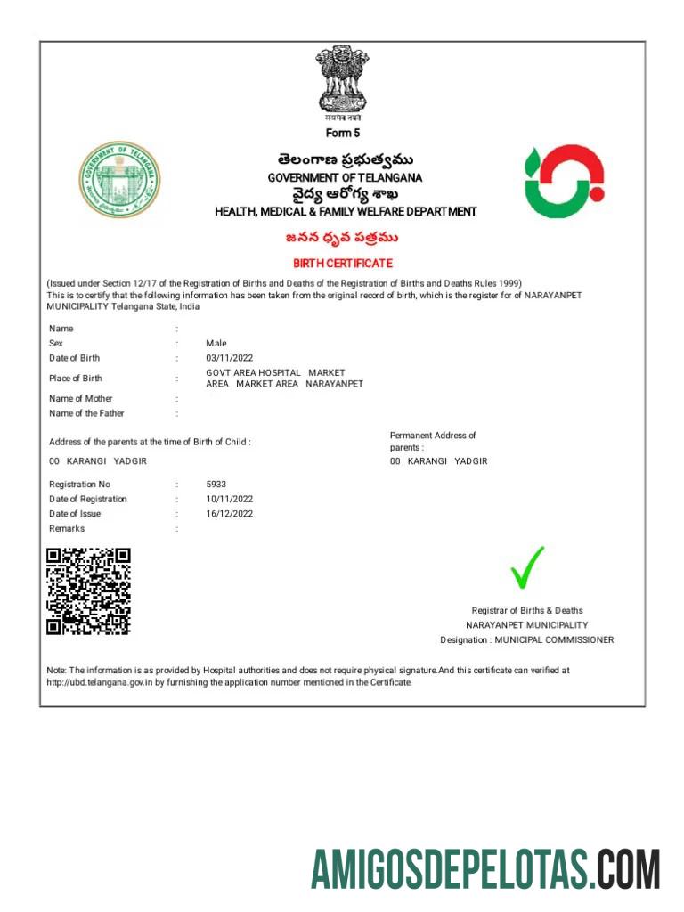 Certidão de nascimento do Departamento de Saúde, Medicina e Bem-Estar Familiar da Índia modelo