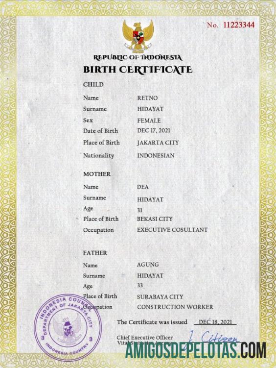 realista Modelo PSD de certidão de nascimento de registro vital da Indonésia