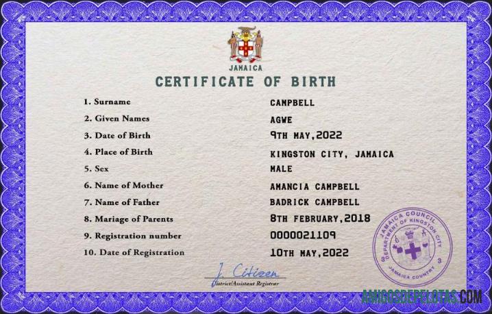 Imprimível modelo PSD de certidão de nascimento de registro vital da Jamaica