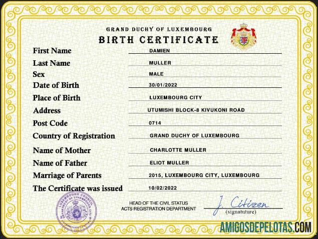 Em branco modelo PSD de certidão de nascimento de registro vital de Luxemburgo