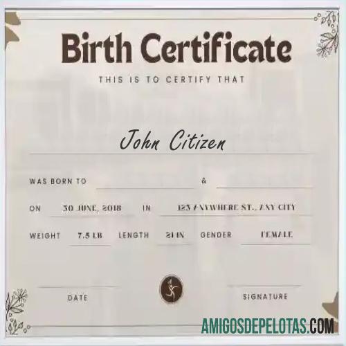 Certidão de nascimento de Nova York baixar para verificação