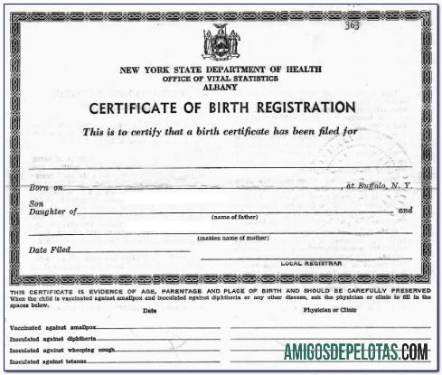 Certidão de nascimento do Escritório de Estatísticas Vitais de Nova York em Albany exemplo