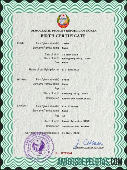 realista Modelo PSD de certidão de nascimento da Coreia do Norte