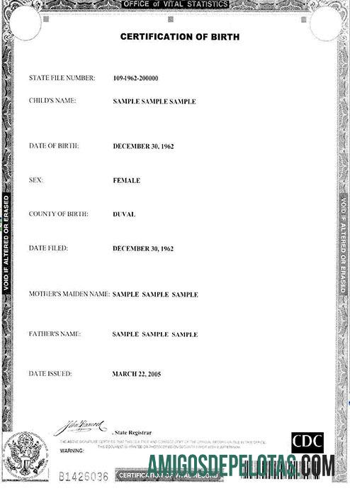 Certidão de Nascimento do Escritório de Estatísticas Vitais modelo