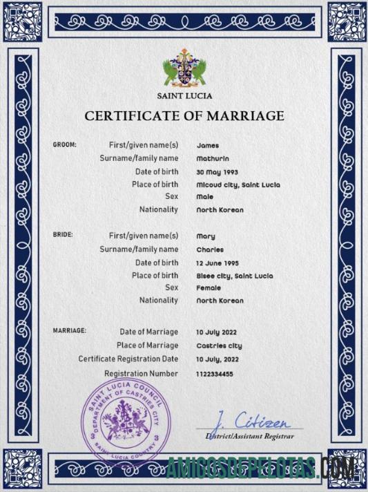 Em branco modelo PSD de certidão de casamento de Santa Lúcia