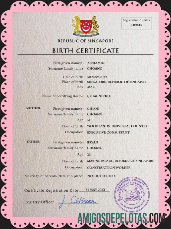 Em branco modelo PSD de certidão de nascimento de registro vital de Singapura