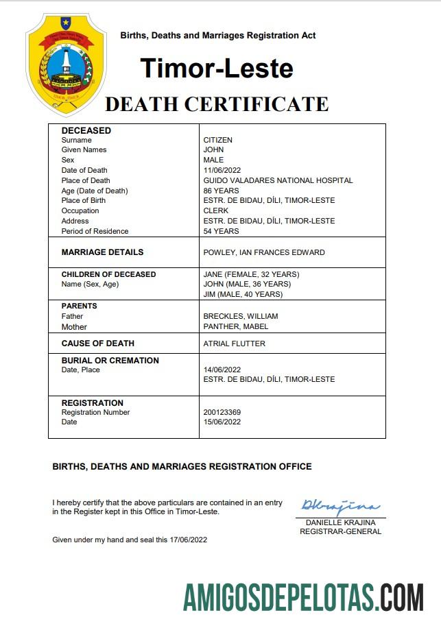 Em branco modelo Word e PDF de certidão de óbito de registro vital de Timor Leste