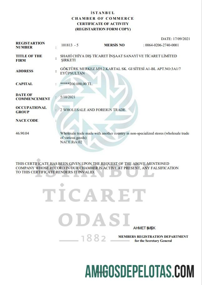 Em branco modelo de certificado de atividade Turquia Istambul em formato Word e PDF