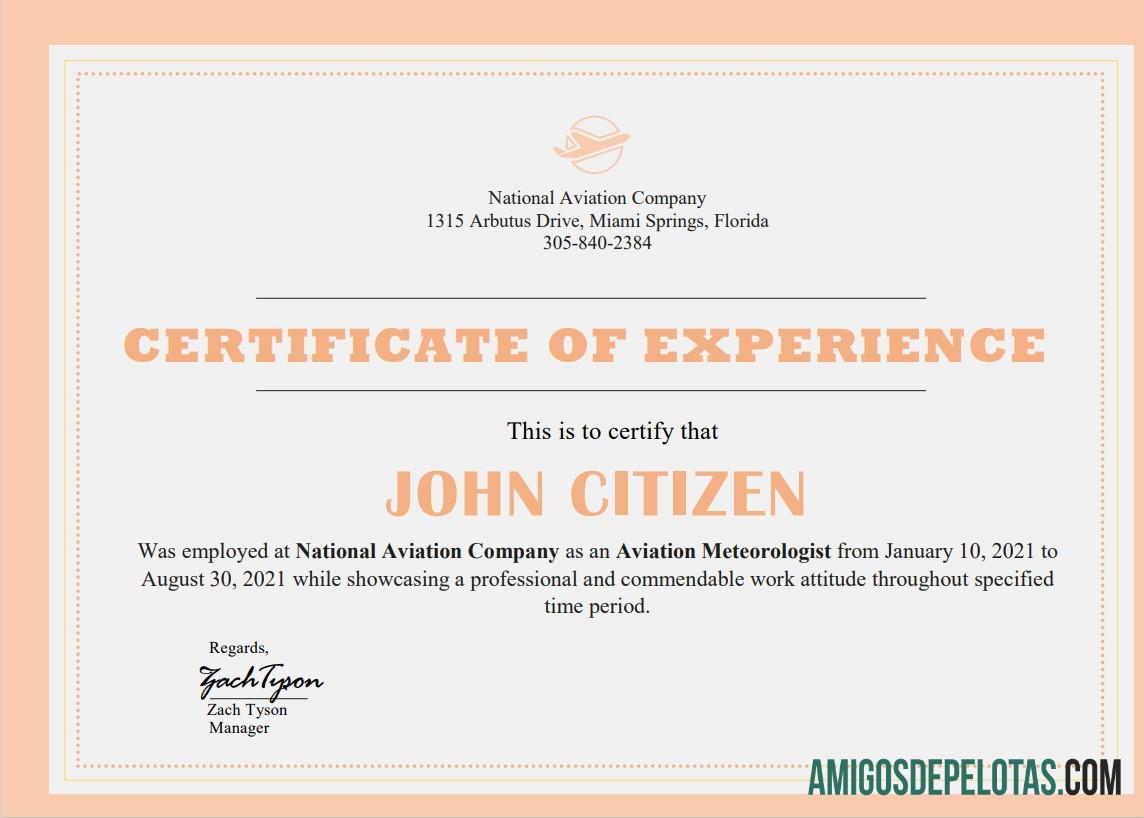 Certificado de experiência de empresa nos EUA amostra