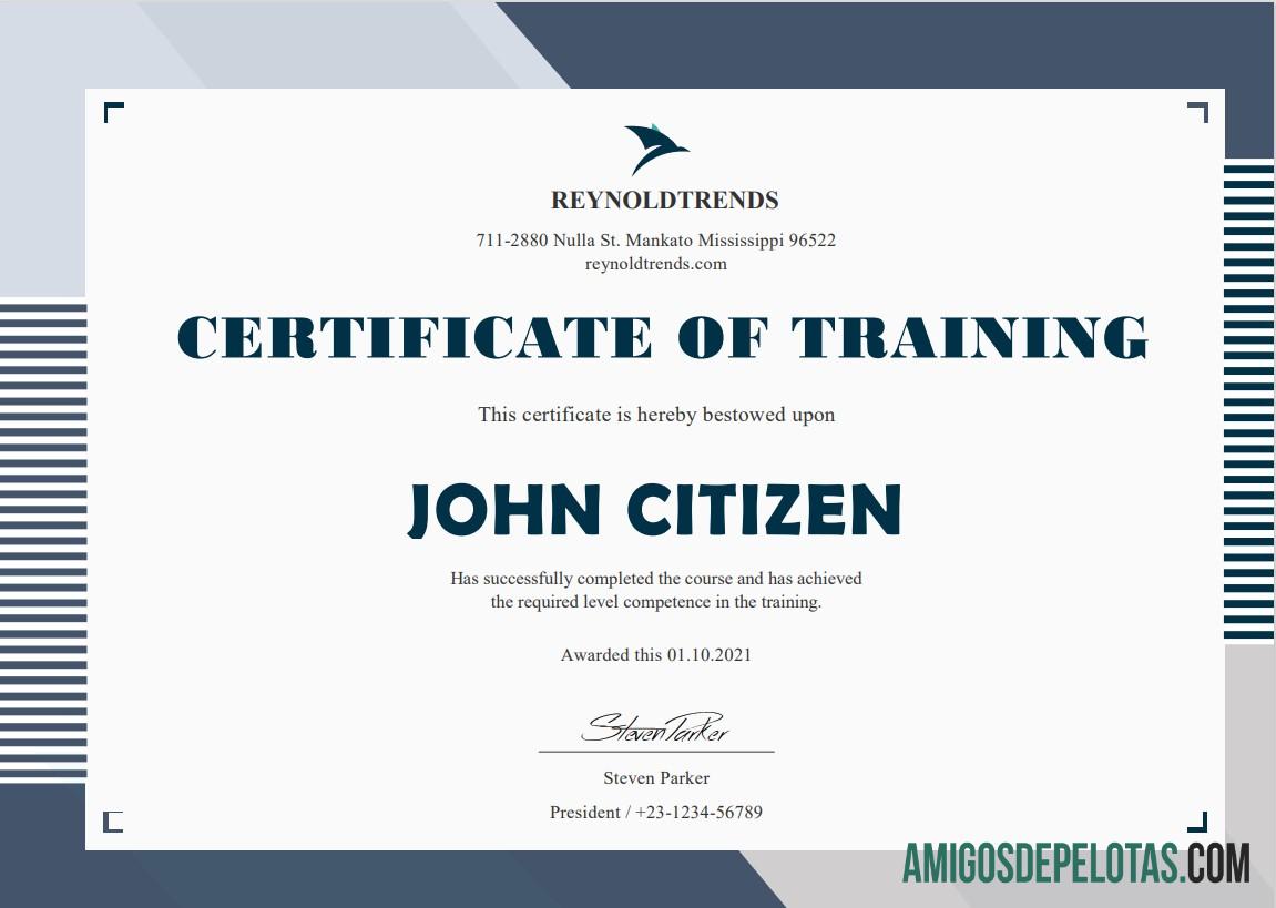 Certificado de treinamento de empresa nos EUA amostra