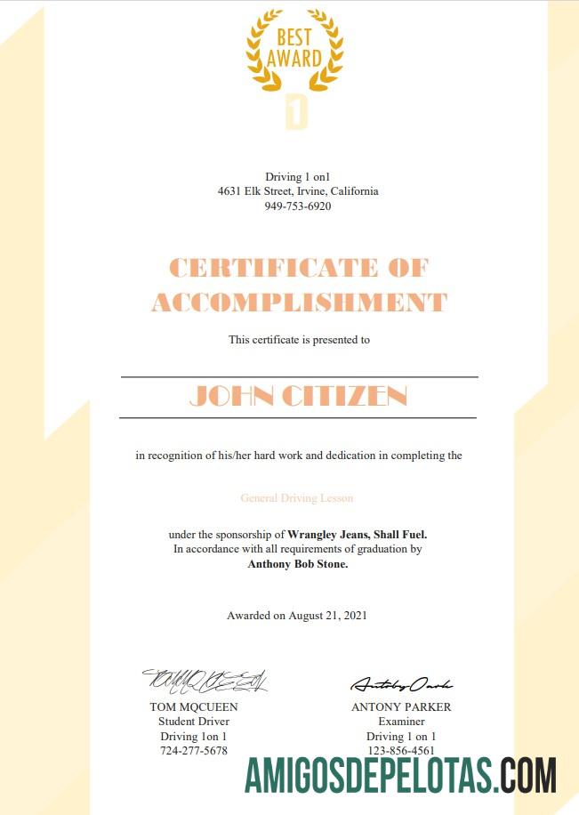 Certificado de condução dos EUA exemplo real