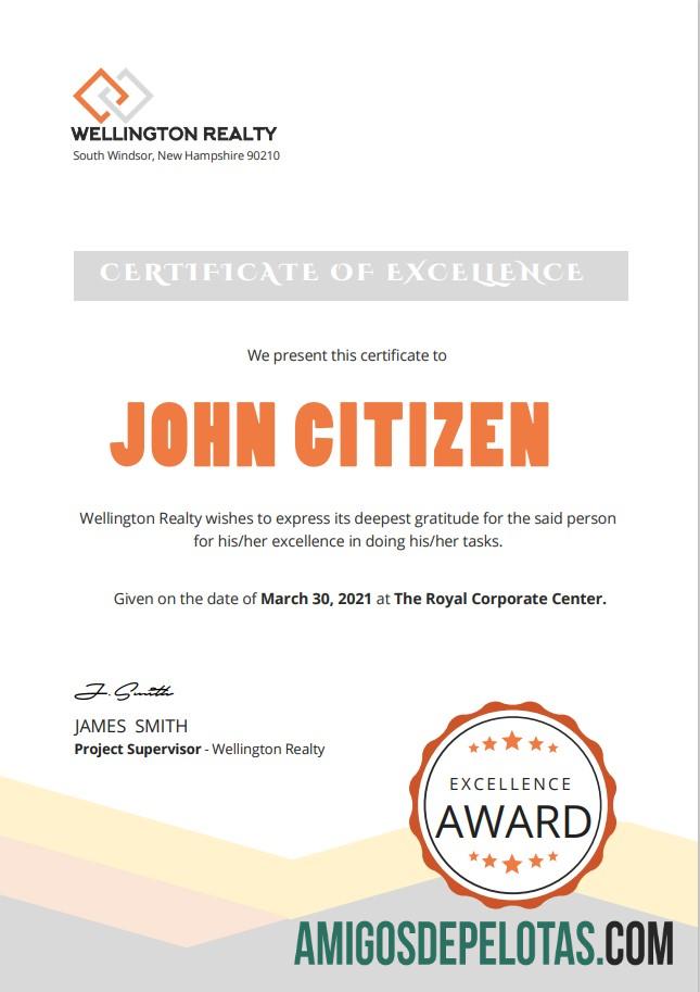 Certificado de Excelência dos EUA Versão 2 exemplo real