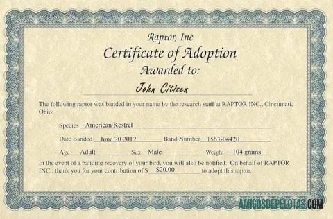 Certificado de adoção USA Raptor Inc exemplo real